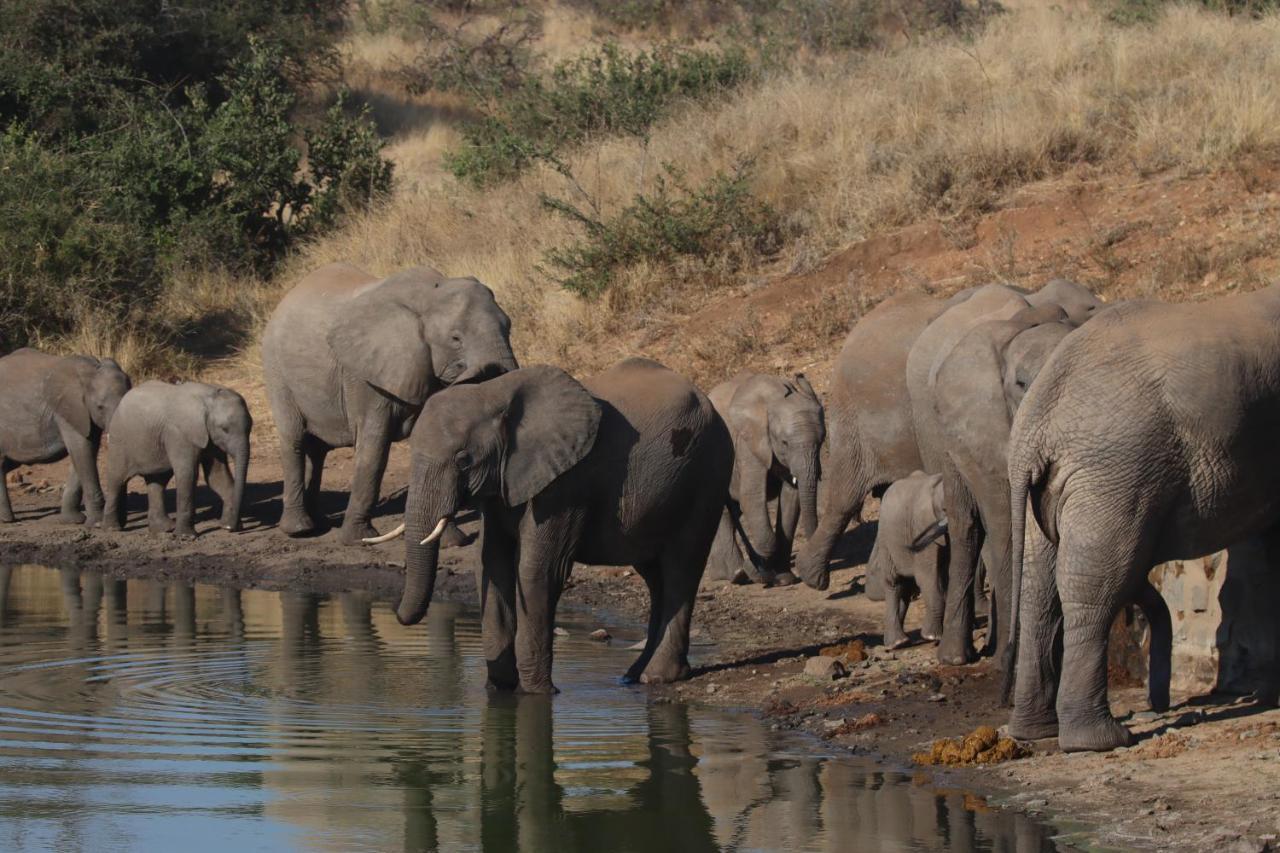 Ku Sungula Safari Lodge Balule Game Reserve Exterior photo