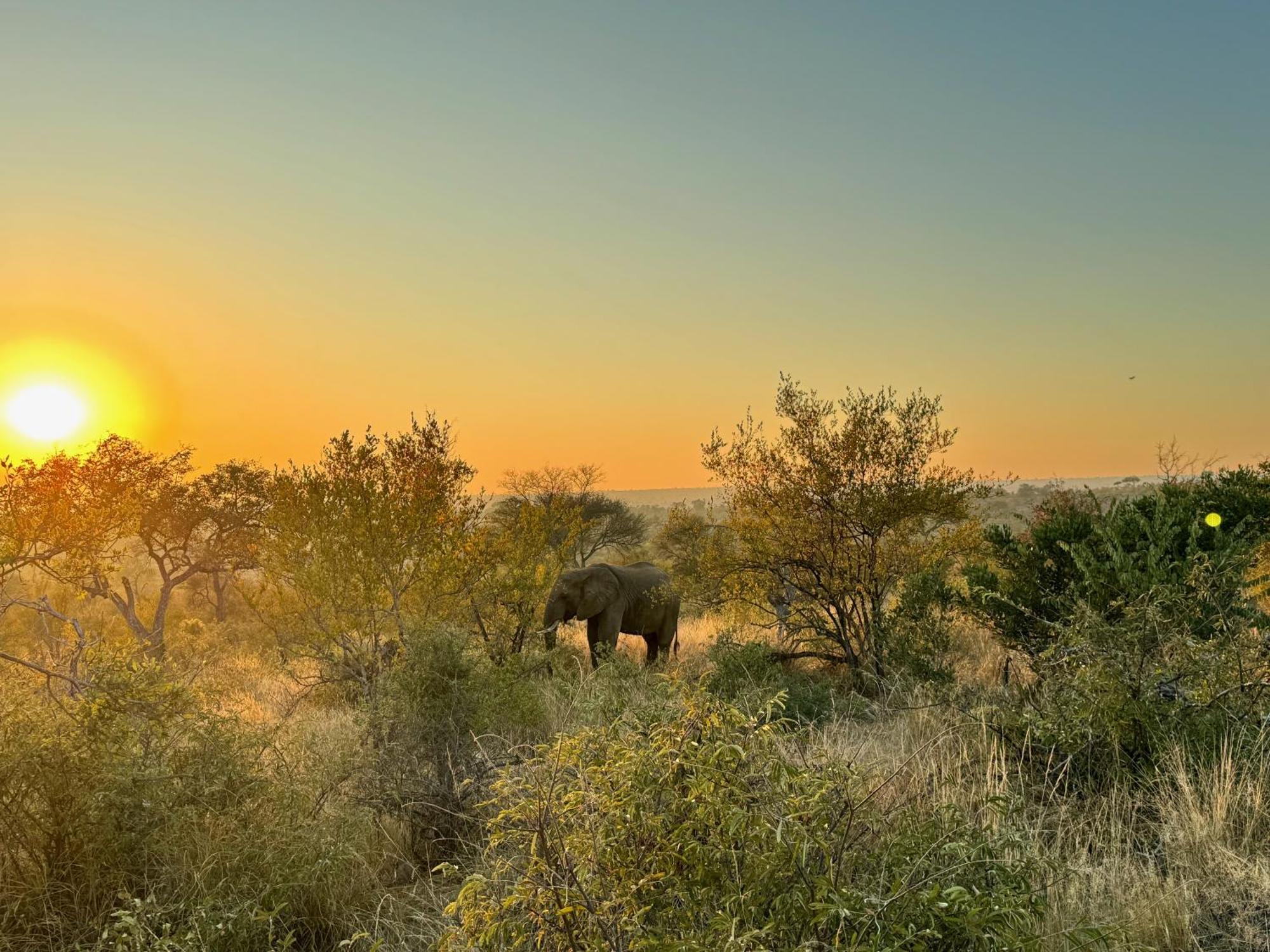 Ku Sungula Safari Lodge Balule Game Reserve Exterior photo