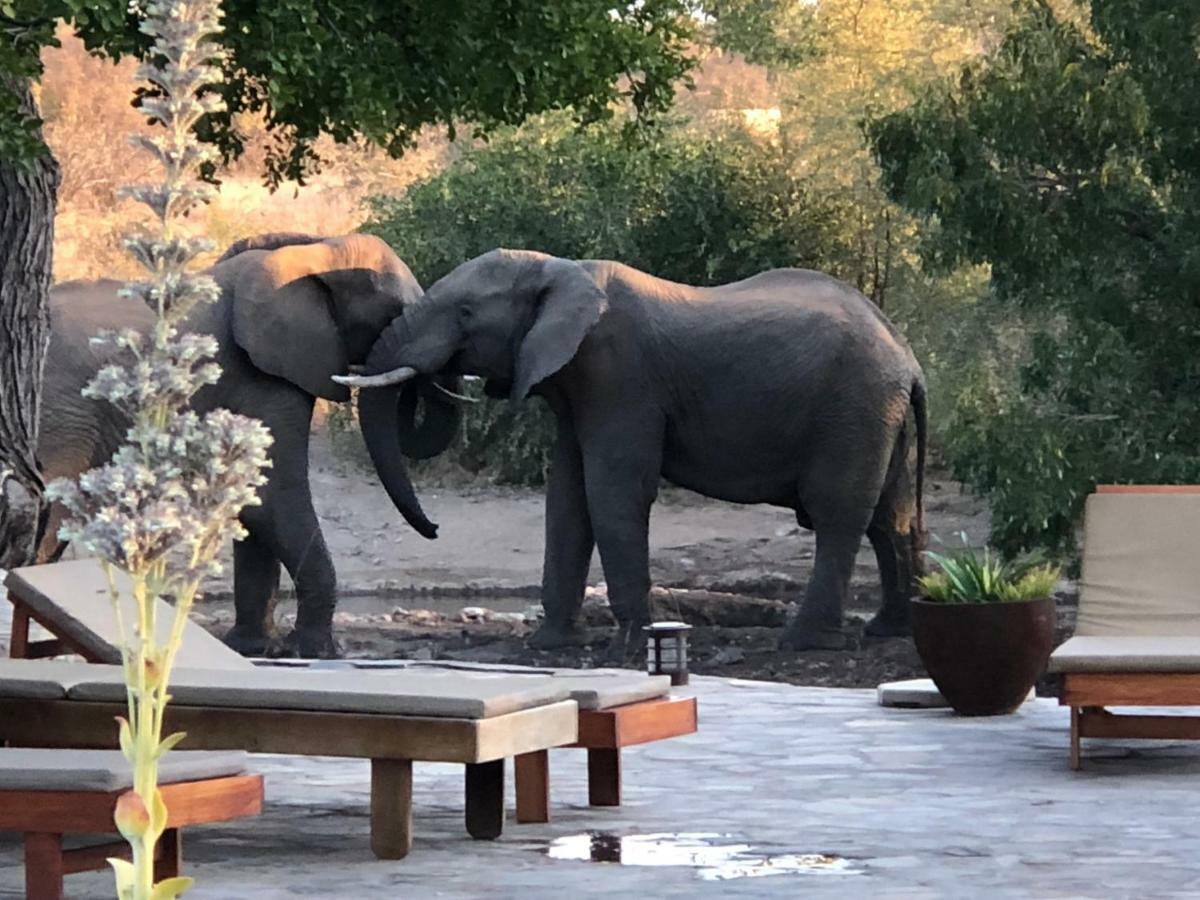 Ku Sungula Safari Lodge Balule Game Reserve Exterior photo